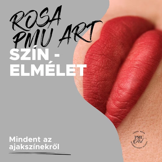 Rosa PMU Art Pigment Lip Reform Course and Color Theory Guide